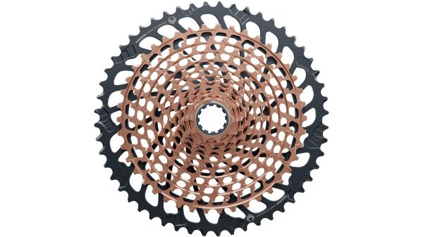 SRAM XG-1299  L braun